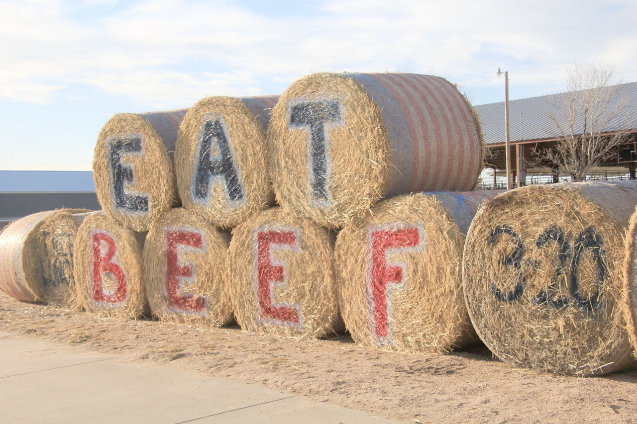 Eat beef